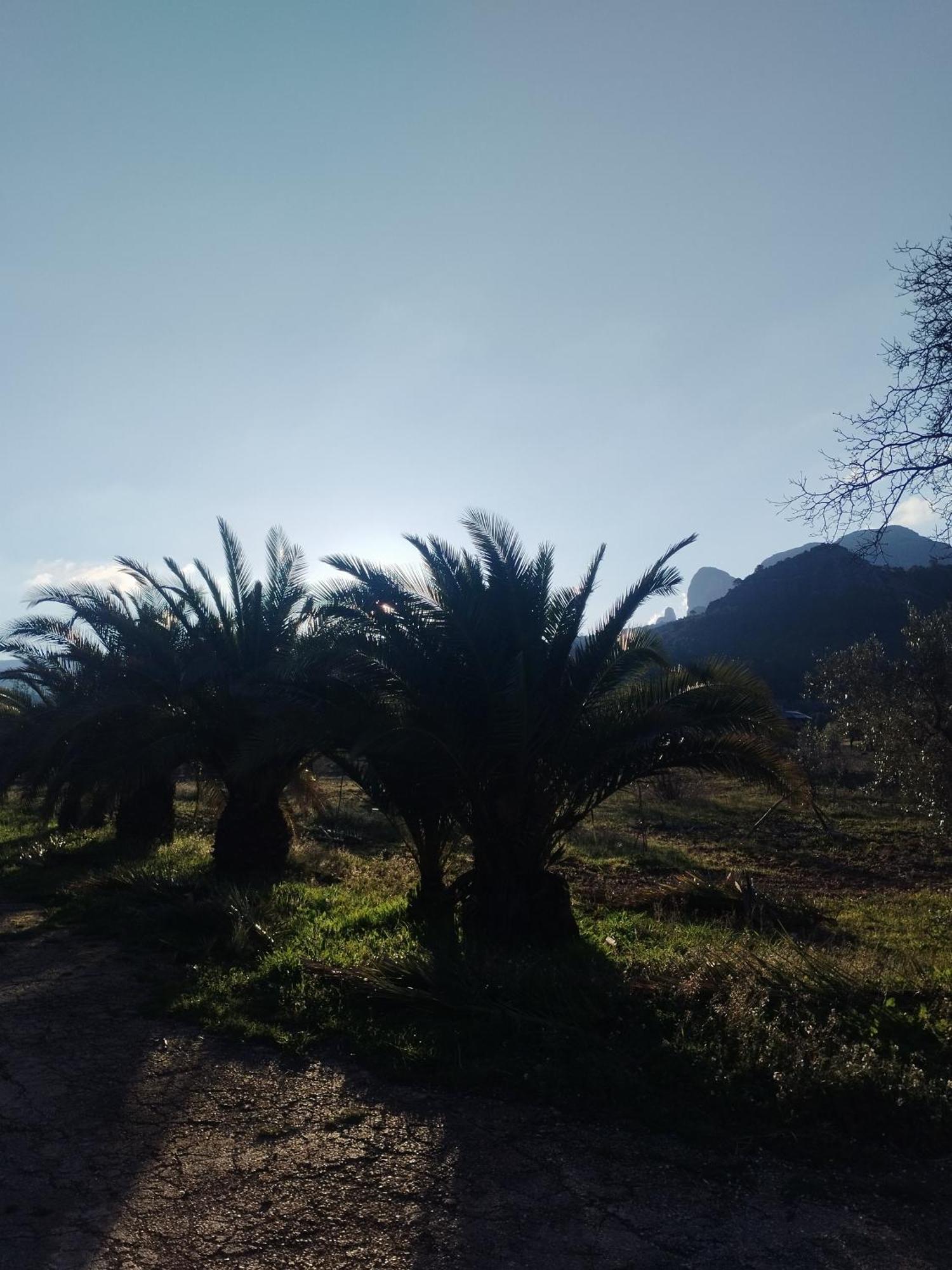 דירות הורטה דה סנט חואן Mas De Manresa מראה חיצוני תמונה